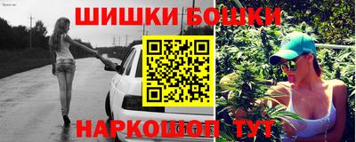 прущие грибы Можга