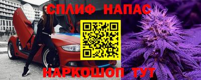 прущие грибы Можга