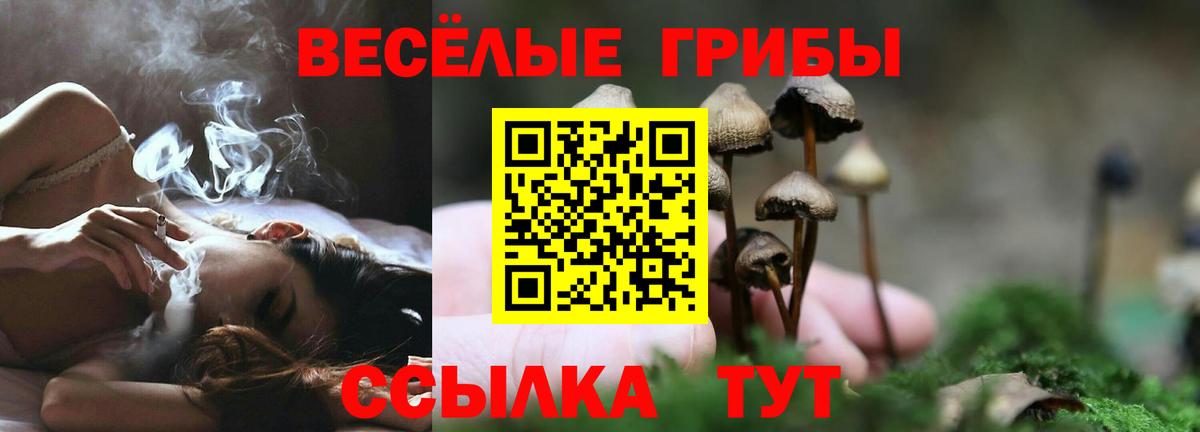 Псилоцибиновые грибы Cubensis  Вход с VPN  Псилоцибиновые грибы мухоморы  Химки 
